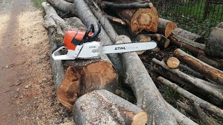 Drujba Stihl 661 c lamă de 50 cm tăieri în lemne de fag.