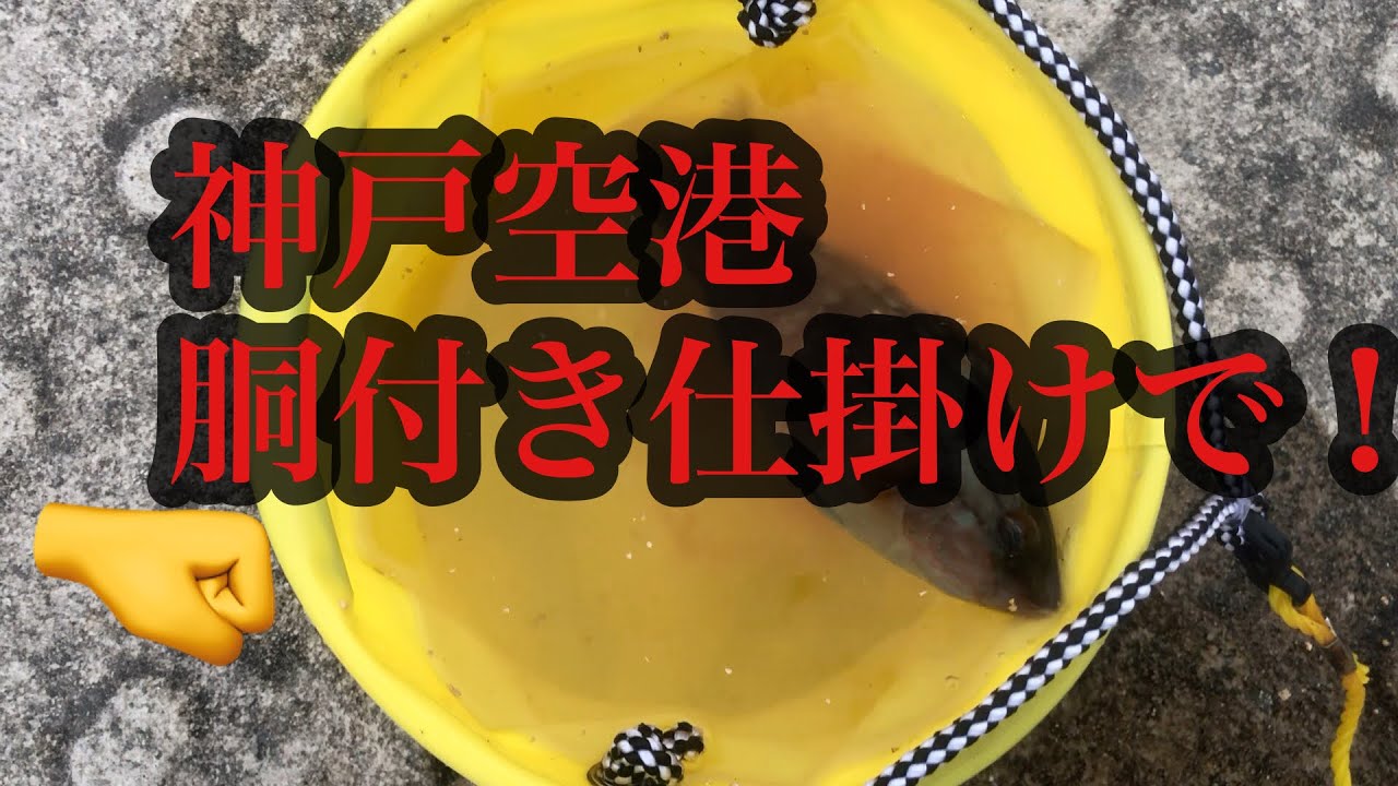 神戸空港胴付き仕掛けで フィッシングマックス 関西の釣果 大阪 神戸 和歌山の釣果情報