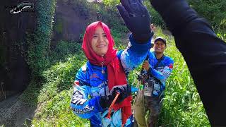 Cewek satu ini jago mancing ikan gabus monster||casting tepat disarangnya