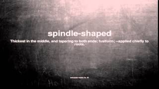 What does spindle shaped mean
