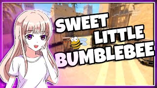 Bumblebee 🐝 CS2 Montage