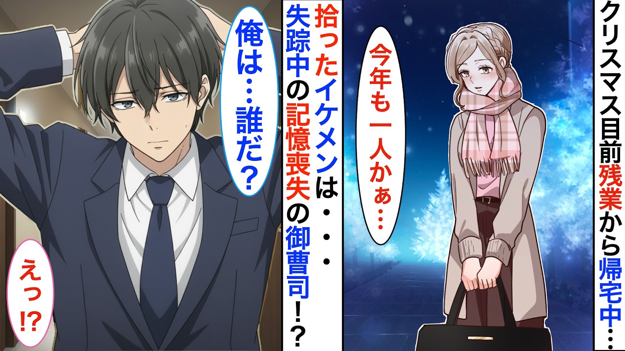 記憶喪失のイケメンを拾いました！？ブラック企業で働く私が、クリスマス目前になぜか御曹司と同棲することに➡︎彼の秘密を知った私は…【胸キュン】【恋愛漫画】【恋愛アニメ】