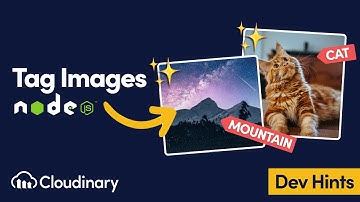 Add Tags to an Existing Image in Node.js with Cloudinary - Dev Hints