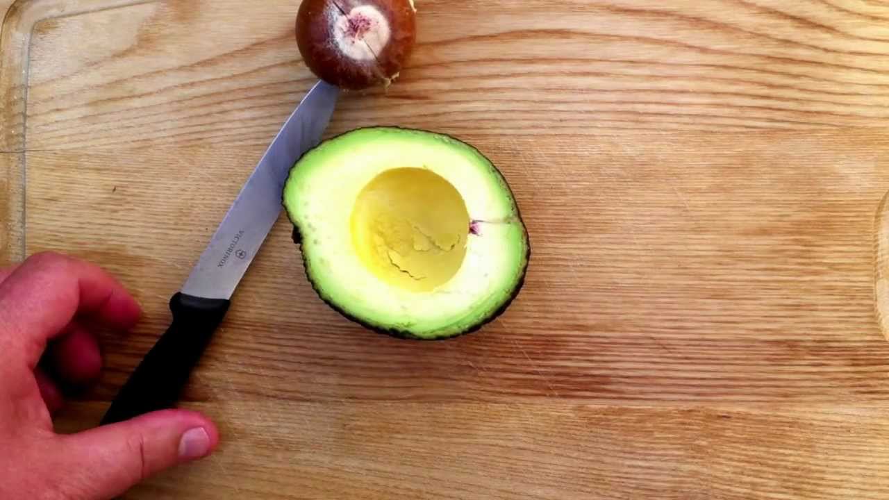 Avocado YouTube