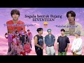 Segala bentuk bujang SEVENTEEN, Bujangnya CARAT