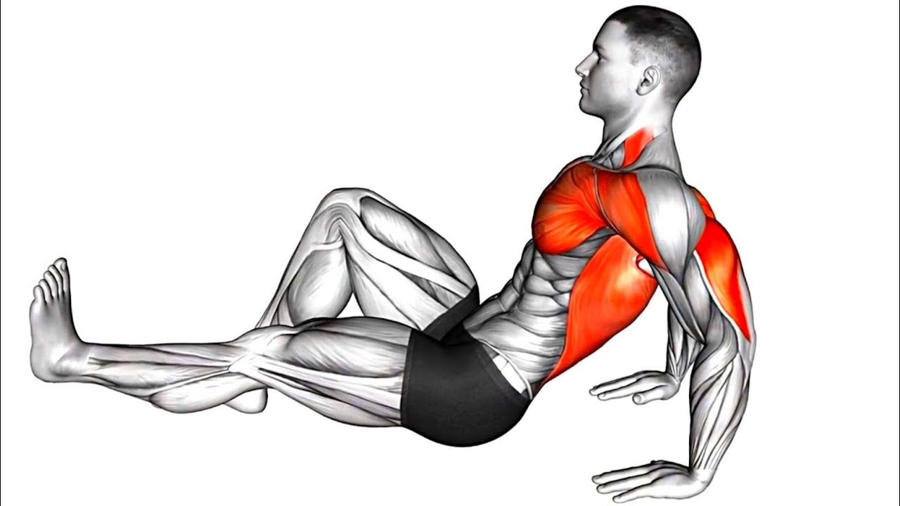 5 Minute Upper Body Workout [Build Muscle & Strength] - YouTube
