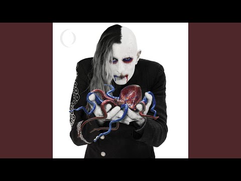 The Contrarian - A Perfect Circle