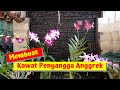 Tutorial membuat kawat penyangga anggrek