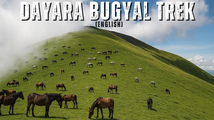Dayara Bugyal Trek Uttarakhand from Barsu | Budget, Best time, Cost, Itinerary & Detailed Guide Plan