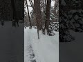 #nature