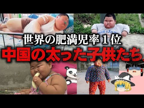 【ゆっくり解説】ハイパー肥満児が爆増…おデブな中国の子供の闇をゆっくり解説！