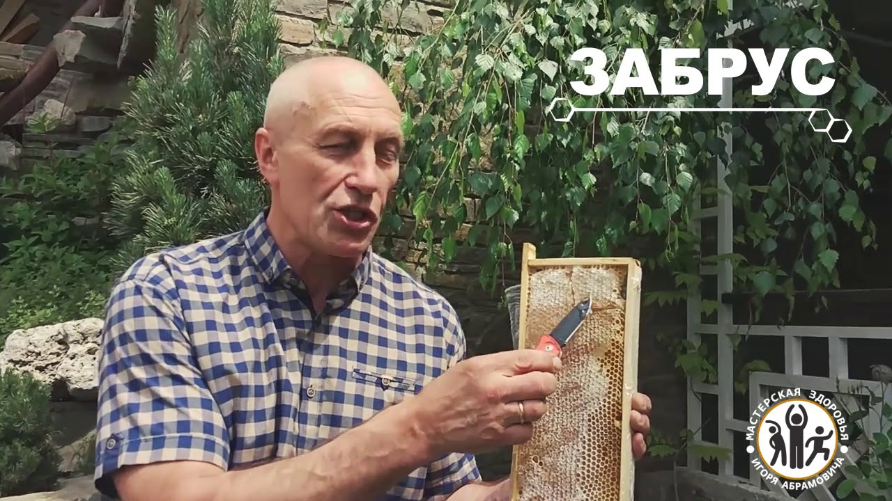 Что такое пчелиный забрус и почему он считается таким полезным? - YouTube