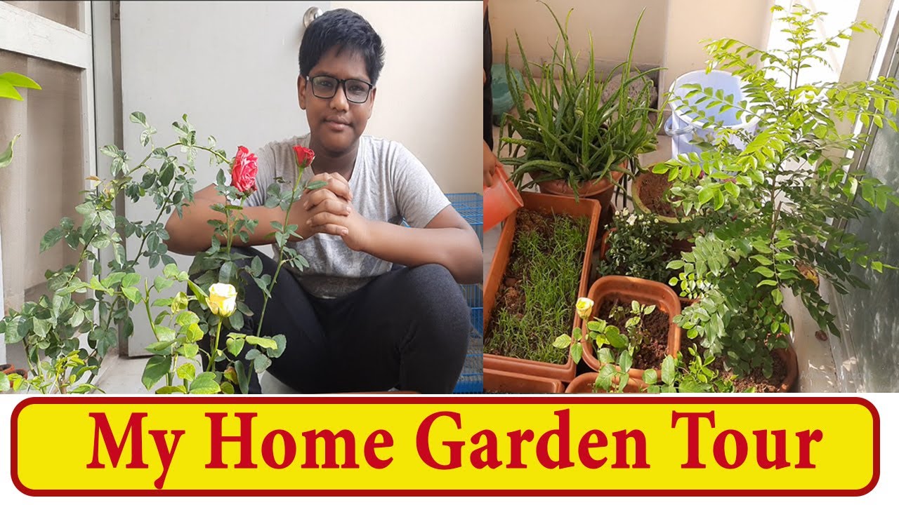 My Home Garden Tour, Small And Beautiful Home Garden Tour, Home Garden ...