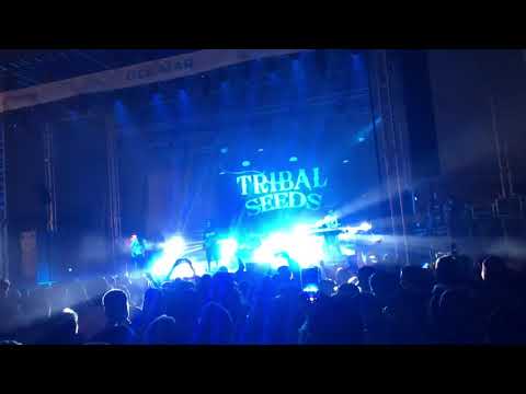 Tribal Seeds -