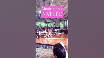 Thumbnail of An orchestra in the heart of the forest. Nature and music in perfect harmony. 🎻🎶 #ForestConcert