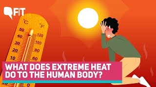 Heatwaves | What Happens To The Human Body Under Extreme Heat | The Quint