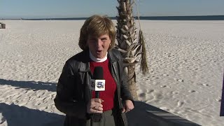 Gulf Shores remind beach-goers leave your dog at home