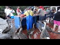 Puerto Ayora, Islas Galápagos, Ecuador, Sudamerica.