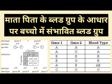 वीडियो: क्या A और B ब्लड ग्रुप वाले माता-पिता O के साथ बच्चा पैदा कर सकते हैं?