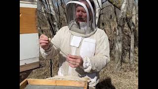 Installing Package Bees at Fry Family Farms