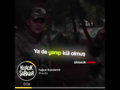 Kısacık Şarkılar (Tuğçe Kandemir Elveda)