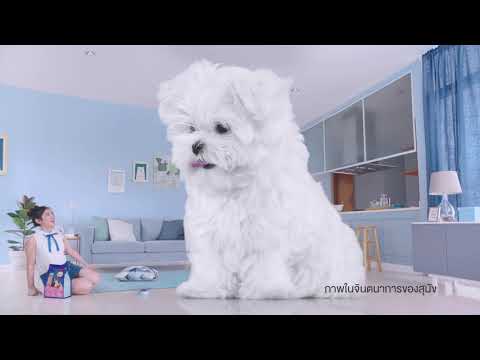 TVC : SmartHeart ชุด ฝันเก่ง