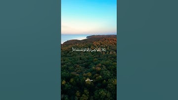 {الله نور السموات والارض} سورة النور ماهر المعيقلي #quran #قرآن #سورة_النور #ماهر_المعيقلي