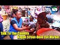 Talk To The Camera - Hagan Street Market Dove Cot - Sierra Leone