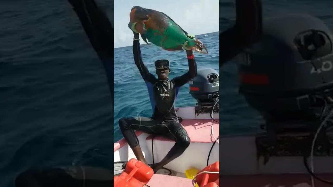 CATCHING FISH IN JAMAICA BE LIKE