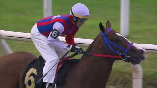 Vidéo de la course PMU PRIX ILUSTRE POSSE (2020)