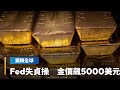 台積電投資計畫