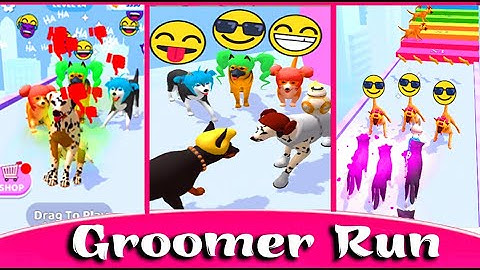 Groomer Run Video Game 🍑🌈 All Level Gameplay Mobile Android, Ios, Ndm gameplay, TapOK Gaming