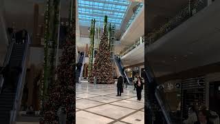 📍bratisalva,solvakia #nivy#youtubeshorts #youtube #explore #subscribe #daily shorts# beauty