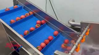 Bubble Washer Equipment for Tomato Processing