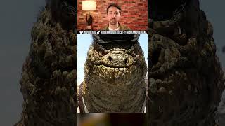 Did you know this about Rango?