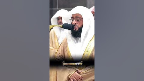 تلاوة القارئ بدر التركي | قران 🤎|