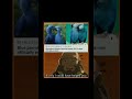 #naofloppa When Fiction Meets a Tragic Reality 💔 | The Fate of the Spix’s Macaw