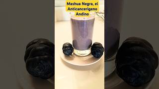 Batido De Mashua Negra El Anticancerigeno Andino