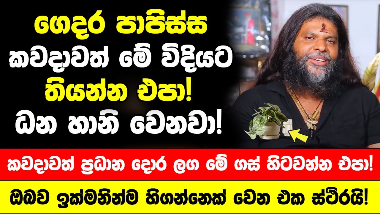 ගෙදර පාපිස්ස මේ විදියට තියන්න එපා! ධන හානි | ප්‍රධාන දොර ලග මේ ගස් හිටවන්න එපා දුප්පත් වෙනවා!