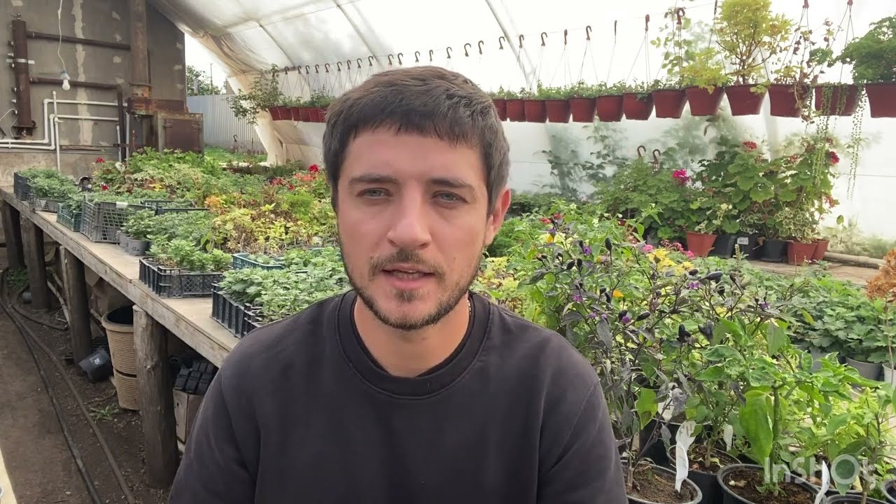 Какие удобрения лучше всего внести осенью под перекопку в почву. Схема.