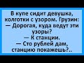 В купе едут девушка и грузин... Сборник смешных анекдотов! Юмор!