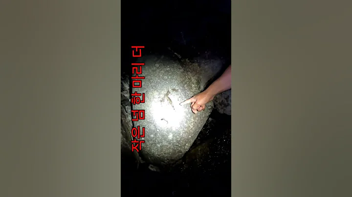 맨손으로 줍는 고기 Bare-handed Picking-up Coreoperca Herzi in the Freshwater. - DayDayNews