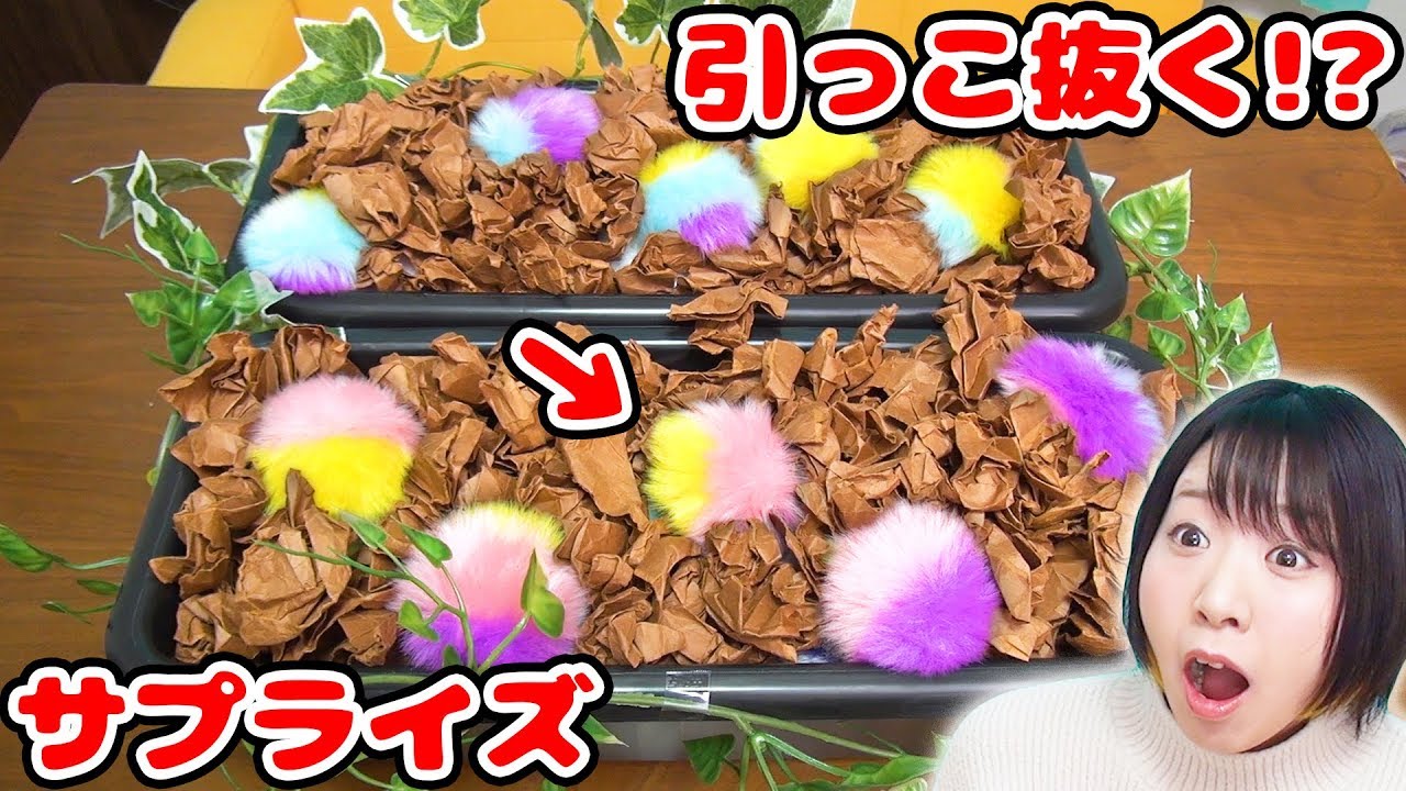 土から生えてる!?w 大量のサプライズを引っこ抜いてみたら…！！w【もふころフワッフィーズフレンズ＋】