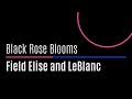 TFT - 13.5 - Black Rose Blooms #weekly