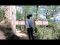 Trail run with me, Yellow Trail, Camp John Hay💛 #running #trailrunning #exercise #fitness #forest 