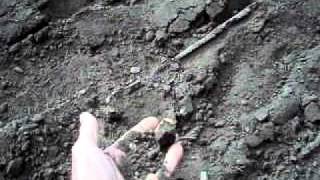 Shortening Slope Length with Coir Logs Showing Installation Methods.AVI