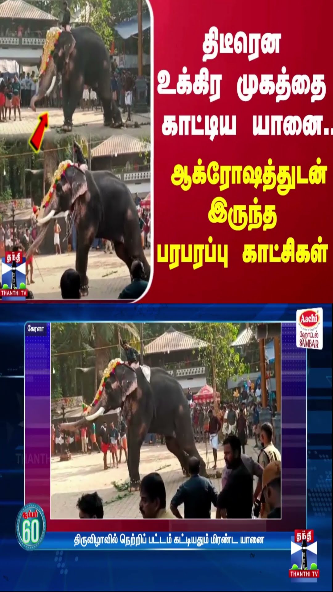 திடீரென உக்கிர முகத்தை காட்டிய யானை... ஆக்ரோஷத்துடன் இருந்த பரபரப்பு காட்சிகள்
