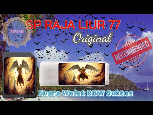 SP RAJA LIUR 77 || Suara Walet RBW Sukses class=