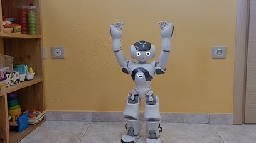 NAO robot doing squats #NAO #robot #squat