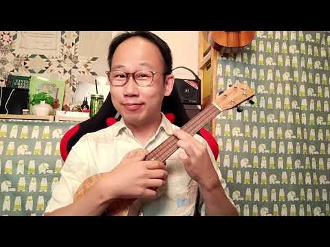 A Place In The Sun  (Stevie Wonder)　- Ukulele Solo -